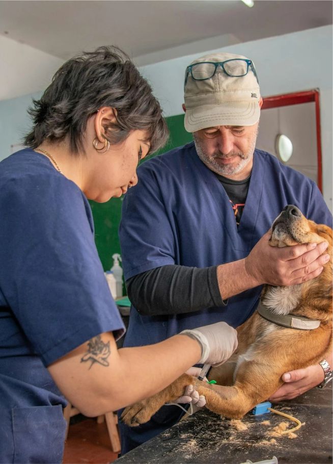 jonatan-bustos-P1Ku27zZJDs-unsplash (1) jonatan-bustos-P1Ku27zZJDs-unsplash (1)